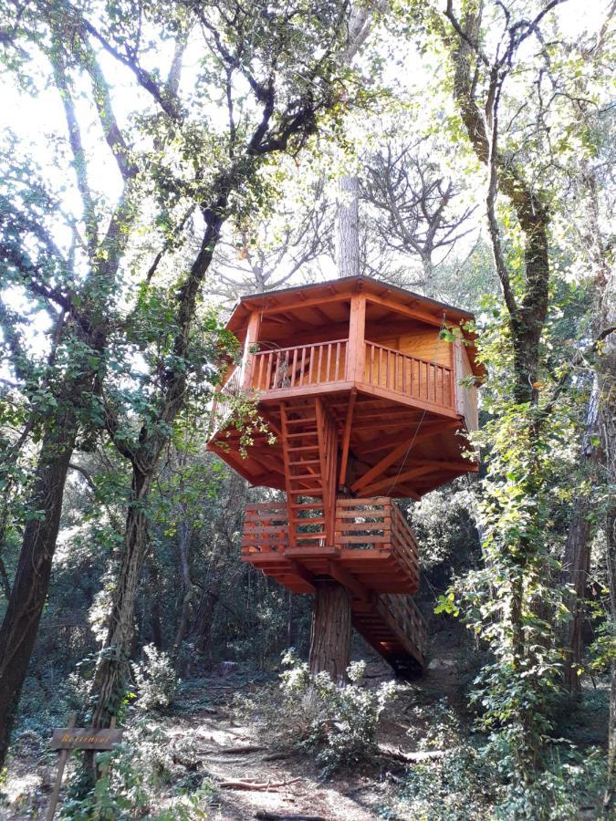Cabanes Dosrius Canyamars Exterior foto